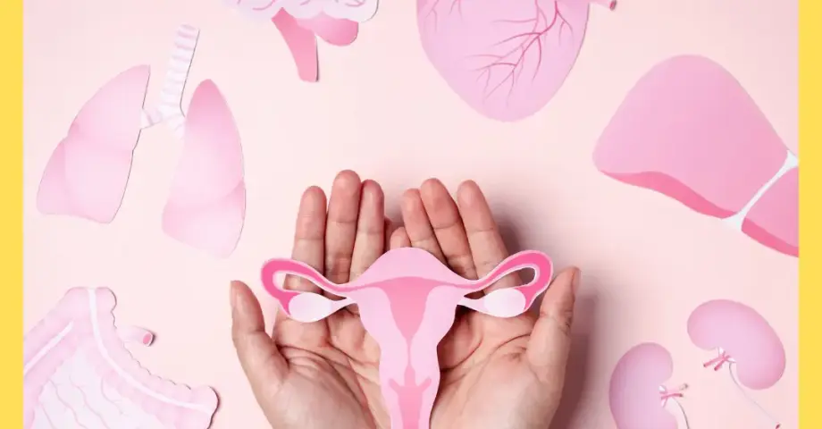 Istezanje i menopauza: kako pokret vraća balans hormonima i telu